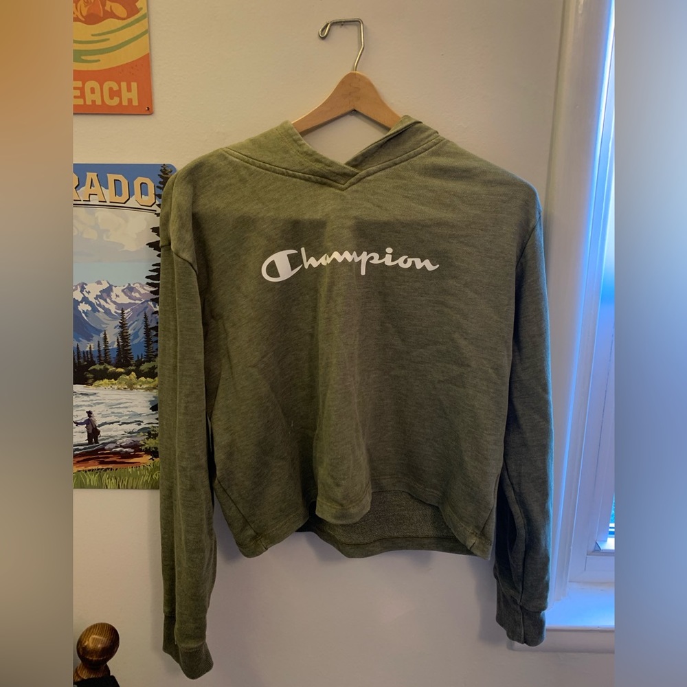 Champion Cropped Hoodie Authentic Athletic Wear